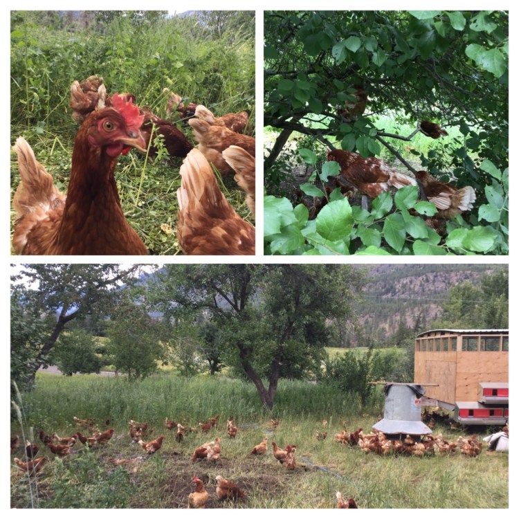 B3B22126-01BD-4AF5-B4F8-CFB000BAF39F