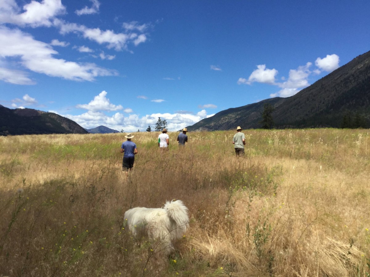 Ranch Hand – Rewarding work and diverse experiences in a rugged and ...